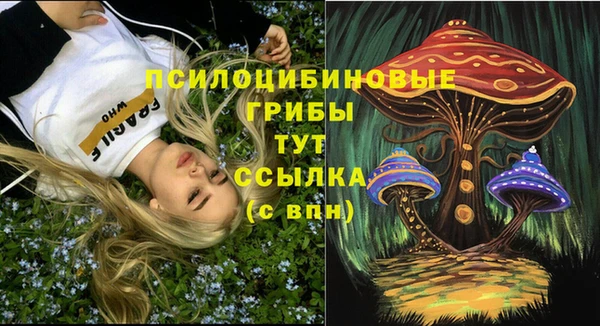 гашик Богородицк