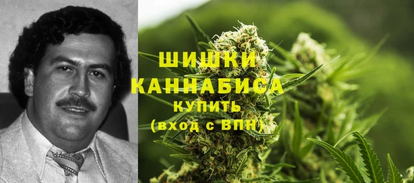 гашик Богородицк